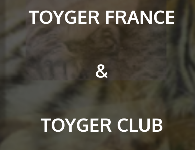 club_toyger_france.png